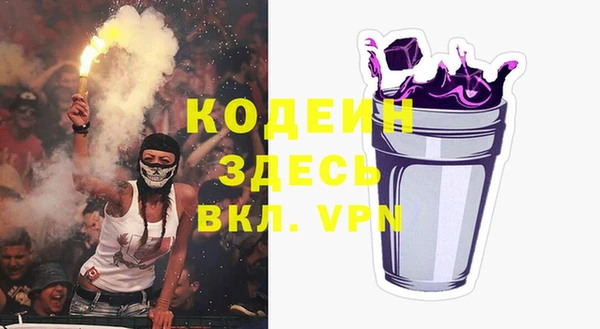 МДПВ Бородино