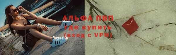 МДПВ Бородино