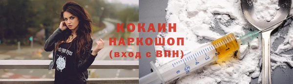 МДПВ Бородино