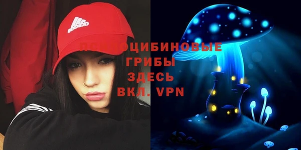 МДПВ Бородино