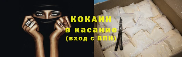 МДПВ Бородино