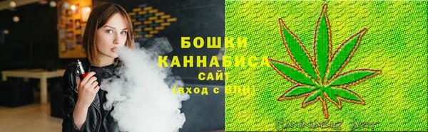 PSILOCYBIN Бугульма