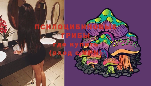 МДПВ Бородино