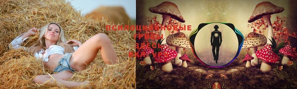 прущие крисы Сосновка
