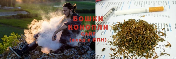 PSILOCYBIN Бугульма