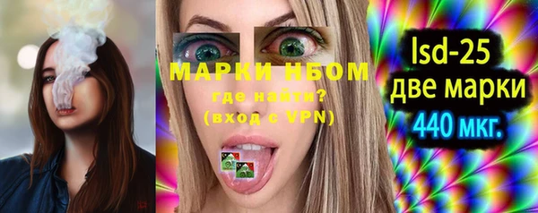 МДПВ Бородино