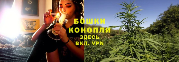 МДПВ Бородино